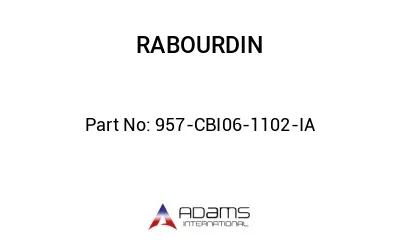 957-CBI06-1102-IA