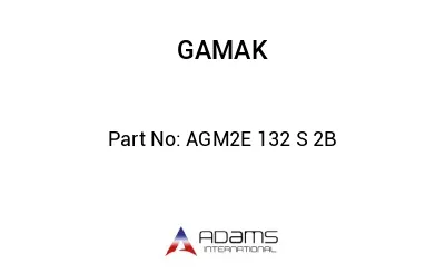 AGM2E 132 S 2B