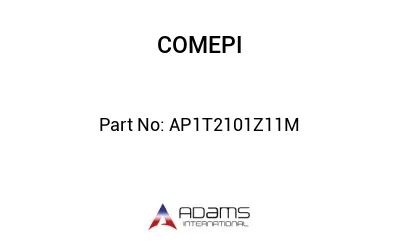 AP1T2101Z11M