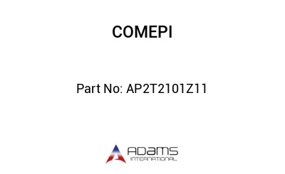 AP2T2101Z11