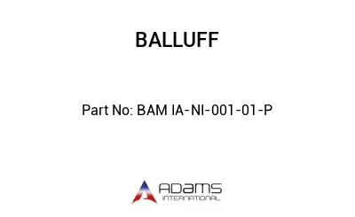 BAM IA-NI-001-01-P									