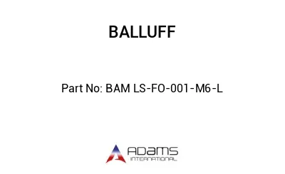 BAM LS-FO-001-M6-L									