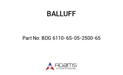 BDG 6110-6S-05-2500-65									