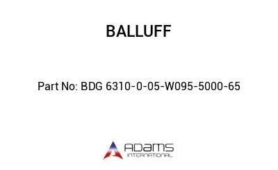 BDG 6310-0-05-W095-5000-65									