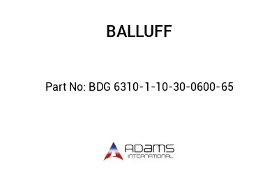 BDG 6310-1-10-30-0600-65									
