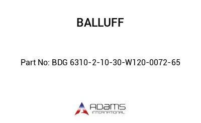 BDG 6310-2-10-30-W120-0072-65									