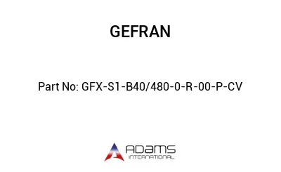 GFX-S1-B40/480-0-R-00-P-CV