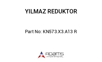 KN573.X3.A13 R