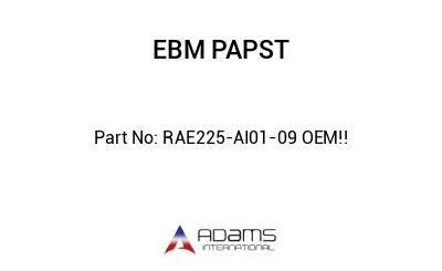 RAE225-AI01-09 OEM!!