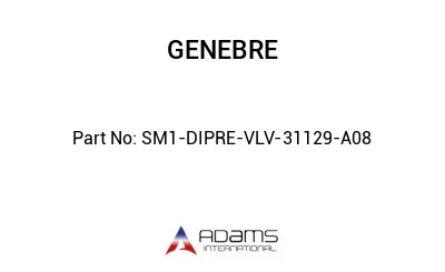 SM1-DIPRE-VLV-31129-A08