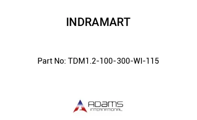 TDM1.2-100-300-WI-115