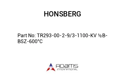 TR293-00-2-9/3-1100-KV ½B-BSZ-600°C