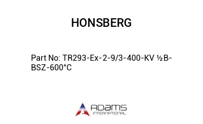 TR293-Ex-2-9/3-400-KV ½B-BSZ-600°C